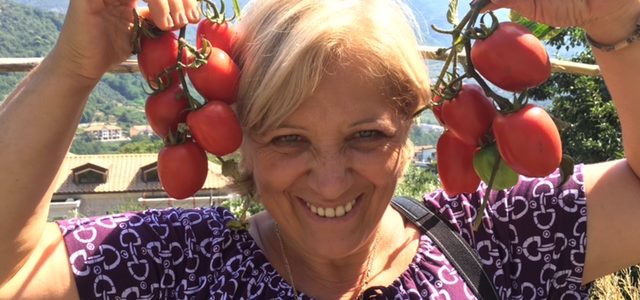 Re Fiascone, un pomodoro che cresce sano e controllato