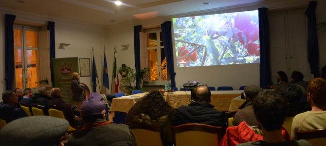 In Costiera amalfitana aumentano i “custodi” del Re Fiascone e i terrazzamenti sottratti all’abbandono